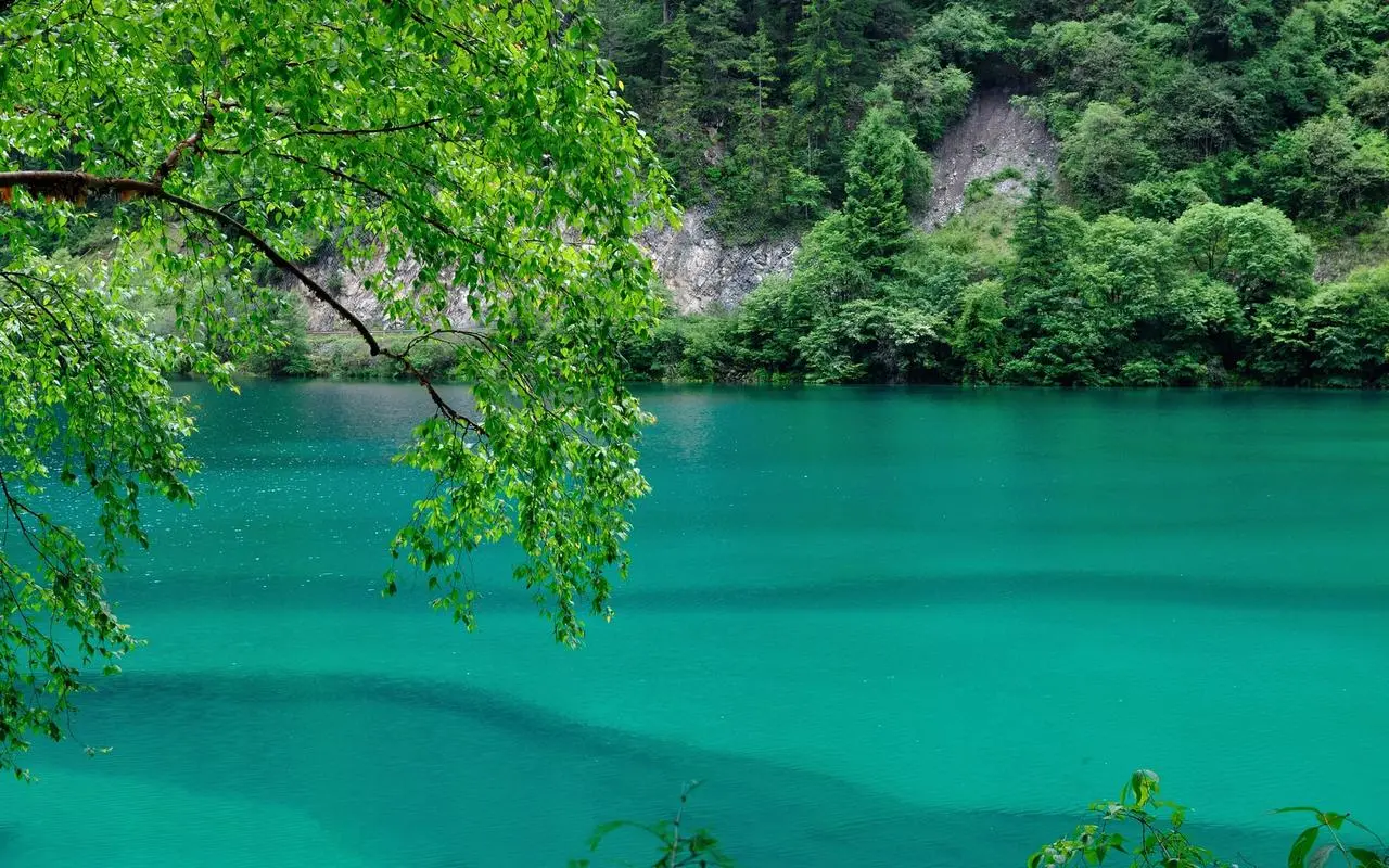 高精度高端